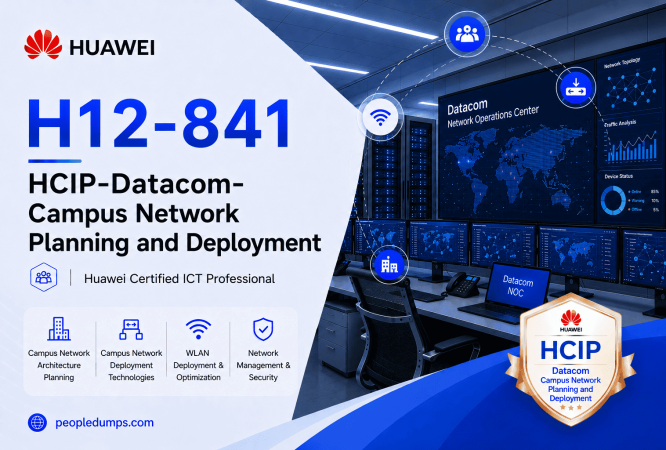 H12-841
