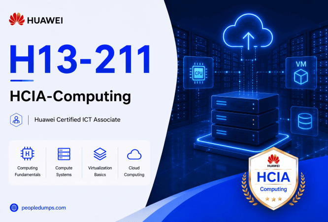H13-211