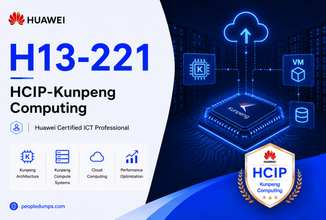 H13-221