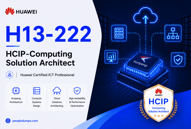 H13-222
