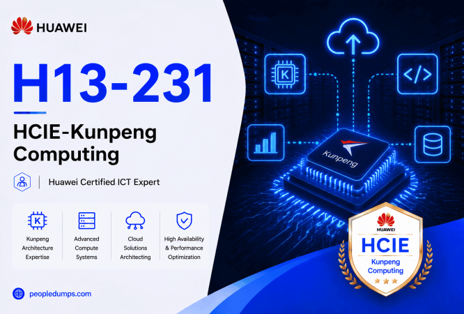 H13-231