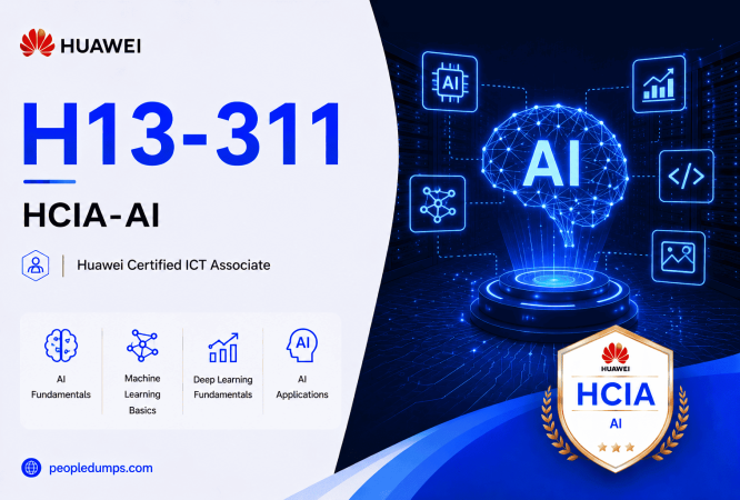 H13-311