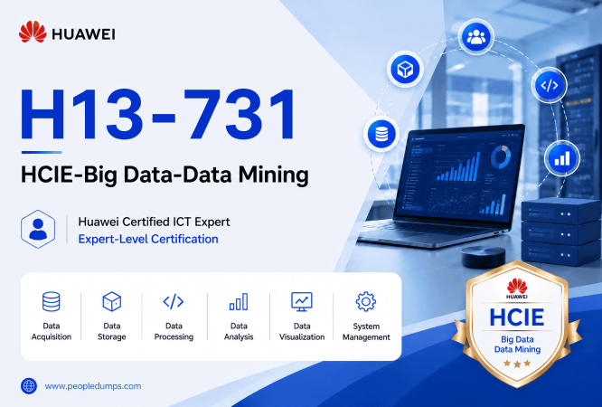 H13-731