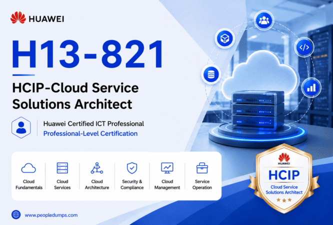 H13-821