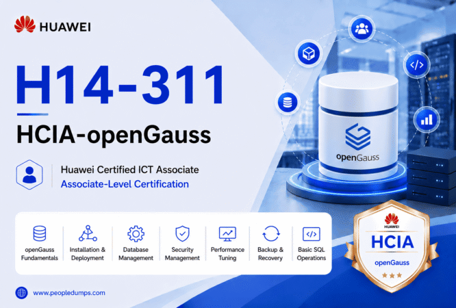 H14-311