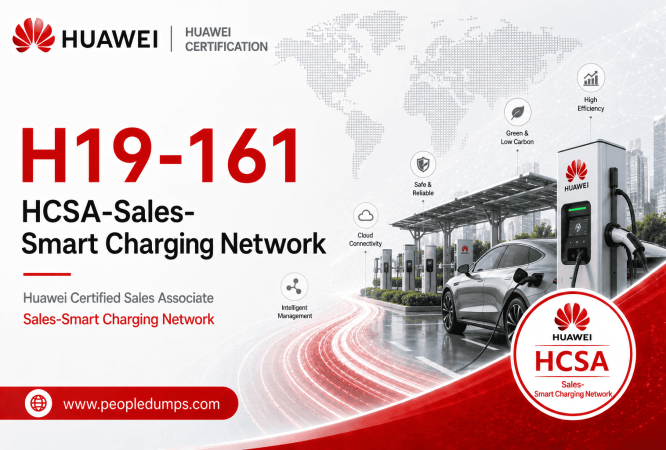 H19-161