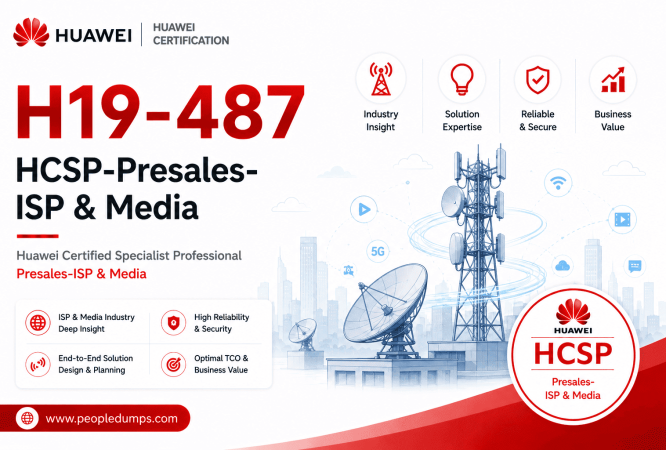 H19-487