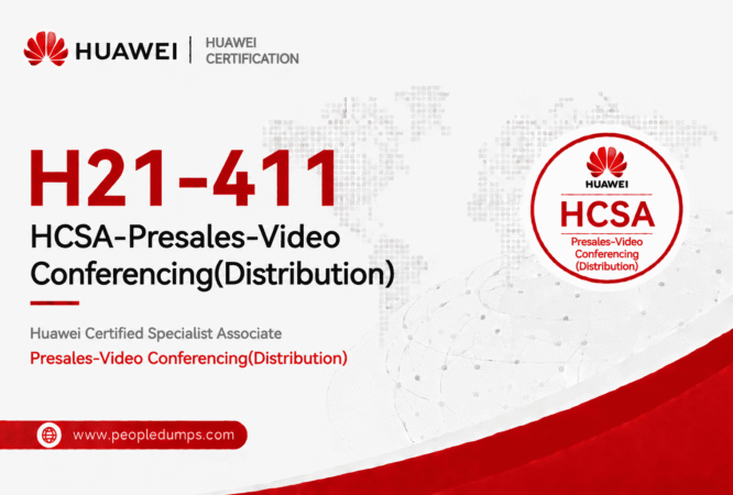 H21-411
