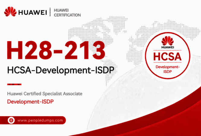 H28-213