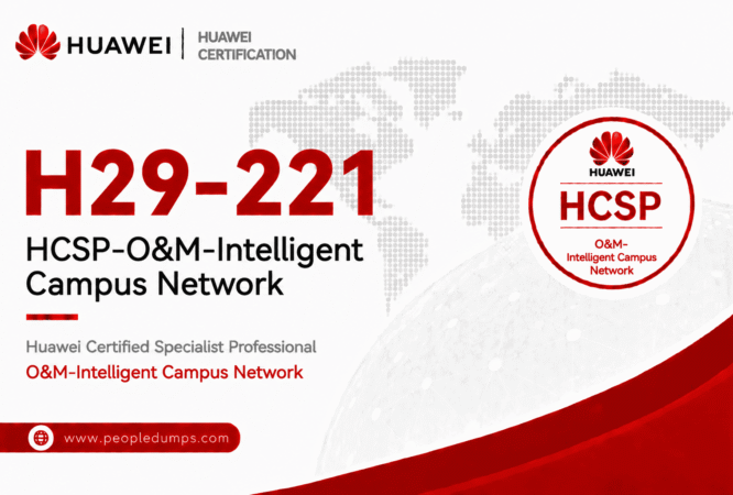 H29-221
