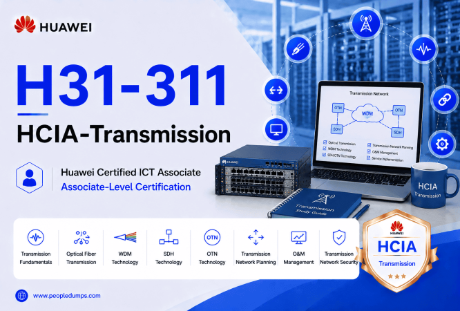 H31-311