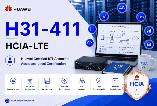 H31-411