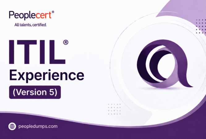 ITIL Experience (Version 5)
