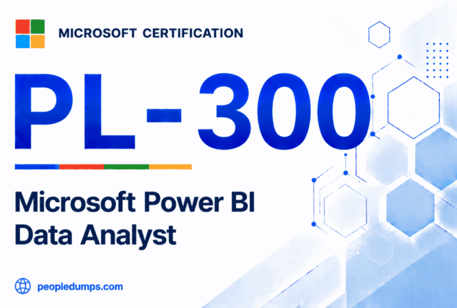 PL-300