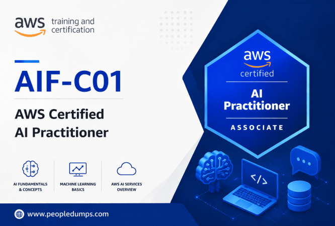 AIF-C01 AWS AI Practitioner